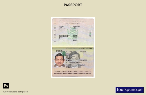 Plantilla de pasaporte de Zambia lista para imprimir